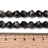 Natural Silver Obsidian Beads Strands G-Z119-A11-02-6