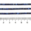 Dyed Natural Lapis Lazuli Beads Strands G-K376-B05-01-5