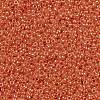MIYUKI Round Rocailles Beads X-SEED-G009-RR0424-3