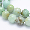 Natural Chrysocolla Beads Strands G-J373-02-12mm-3