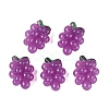 Imitation Jelly Effect Acrylic Beads OACR-N126-08A-1