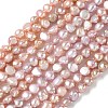 Natural Cultured Freshwater Pearl Beads Strands PEAR-C004-21C-2