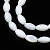 Natural Freshwater Shell Beads Strands SHEL-Q024-021-3