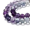 Natural Fluorite Beads Strands G-H266-31C-2