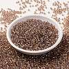 MIYUKI Round Rocailles Beads X-SEED-G008-RR3521-2