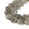 Natural Labradorite Beads Strands G-M403-C09-01-4