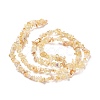 Natural Citrine Chips Beads X-F091-3