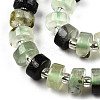 Natural Prehnite Beads Strands G-N327-07H-3