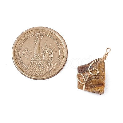 Raw Rough Gemstone Copper Wire Wrapped Pendants PALLOY-JF03028-1