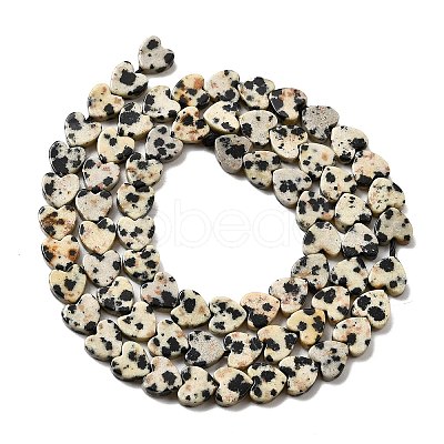 Natural Dalmatian Jasper Beads Strands G-A272-A01-32-1