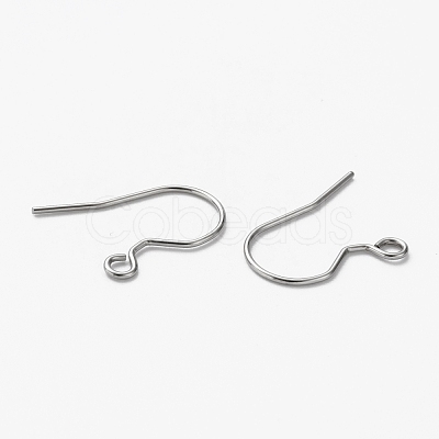 Tarnish Resistant 304 Stainless Steel Earring Hooks STAS-L253-003P-1