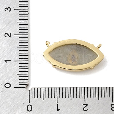 Natural Labradorite Pendants KK-C255-22G-05-1