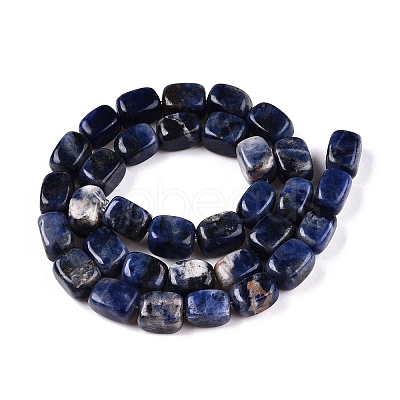 Natural Sodalite Beads Strands G-T138-107-1
