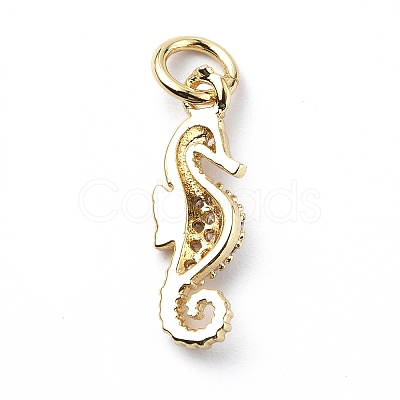Brass Micro Pave Cubic Zirconia Charms ZIRC-F131-06G-1
