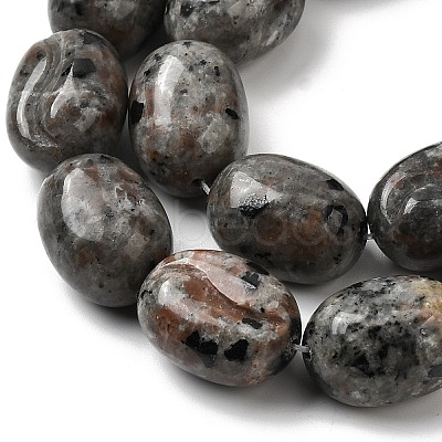 Natural Fluorescent Syenite Rock(Glow under UV Light) Beads Strands G-K362-D02-03-1