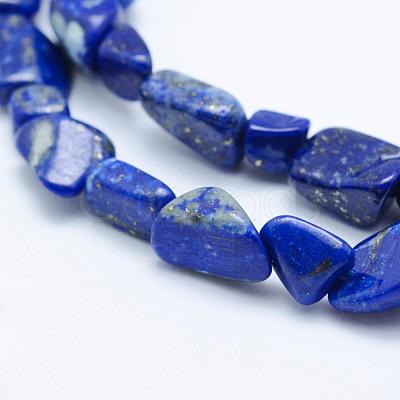 Natural Lapis Lazuli Beads Strands G-K203-18-1