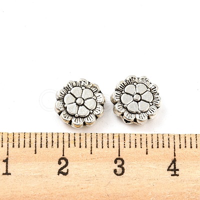 Tibetan Style Alloy Beads PALLOY-F307-06AS-1