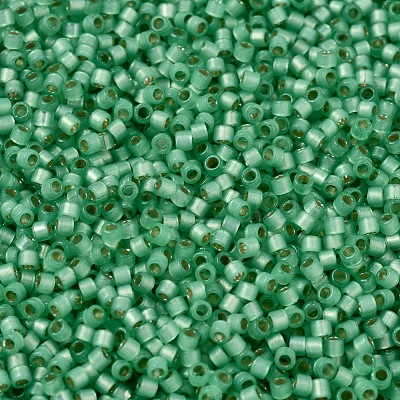 MIYUKI Delica Beads SEED-J020-DB2188-1