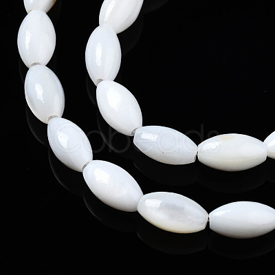 Natural Freshwater Shell Beads Strands SHEL-Q024-021-1