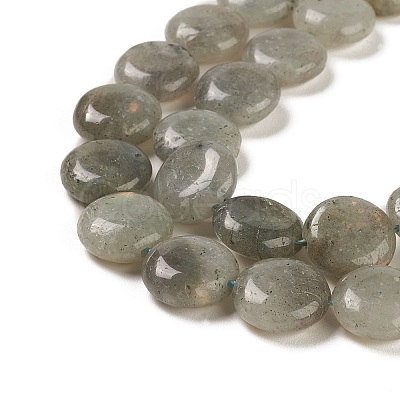 Natural Labradorite Beads Strands G-M403-C09-01-1