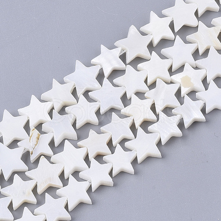 Freshwater Shell Beads Strands SHEL-T014-009G-1