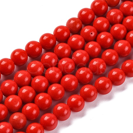 Synthetic Turquoise Beads Strands G-L605-G01-01B-1