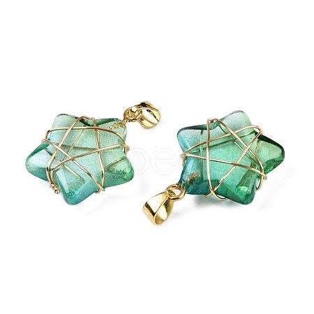 Lampwork Pendants GLAA-T023-06G-1