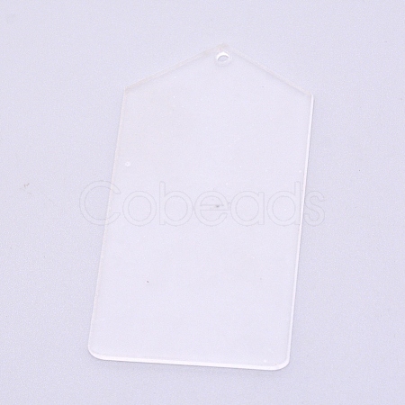 Transparent Acrylic Big Pendants TACR-WH0001-32B-1