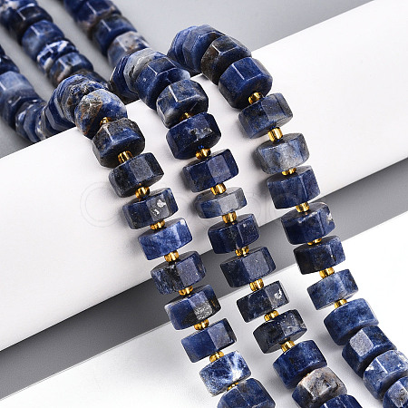 Natural Sodalite Beads Strands G-T140-26-1