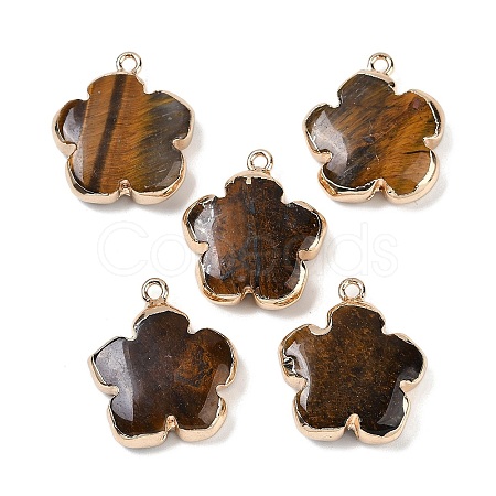 Natural Tiger Eye Pendants G-P566-01G-07-1