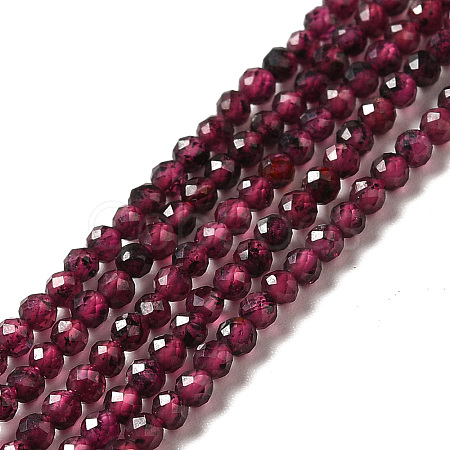 Natural Garnet Beads Strands G-I341-09A-1