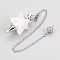 Natural Quartz Crystal Dowsing Pendulums, with Platinum Tone Brass Findings, Merkaba Star, 235mm, Hole: 2mm