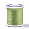 Nylon 66 Coated Beading Threads for Seed Beads, Light Green, 0.1mm, about 54.68 yards(50m)/roll