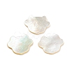 Natural Sea Shell Cabochons SHEL-D079-15-1