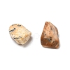 Natural Picture Jasper Chips G-G869-01-3