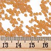 (Repacking Service Available) Glass Seed Beads SEED-C017-2mm-M2-3