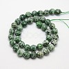 Natural Green Spot Jasper Beads Strands G-L148-14mm-01-2
