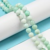 Grade A Natural Chrysoprase Beads Strands G-R494-A02-02-4