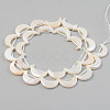 Electroplate Natural Freshwater Shell Beads Strands X-SHEL-T017-16D-2