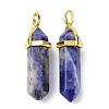 Natural Sodalite Pointed Pendants G-G025-01G-08-2