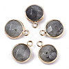 Natural Labradorite Pendants G-T131-101A-1