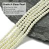 Eco-Friendly Dyed Glass Pearl Round Beads Strands HY-A002-4mm-RB011-2