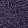 TOHO Round Seed Beads X-SEED-TR11-0019F-2