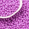 6/0 Glass Seed Beads SEED-L011-08A-26-1