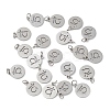 Non-Tarnish 304 Stainless Steel Charms STAS-Q201-T447P-3