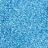 6/0 Baking Paint Transparent Fringe Glass Seed Beads X1-SEED-N006-06L-3