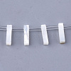 Natural Sea Shell Beads SHEL-T012-60I-1
