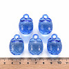 Autumn Theme Transparent Acrylic Pendants TACR-T024-04B-940-5