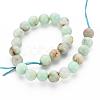 Natural Chrysoprase Beads Strands G-S333-8mm-037-2