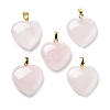 Natural & Synthetic Mixed Gemstone Pendants G-G956-B-G-2